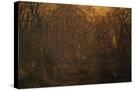 Stretched Canvas