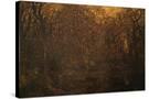 Stretched Canvas