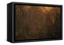 Canvas Black