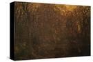 Stretched Canvas