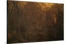 Stretched Canvas