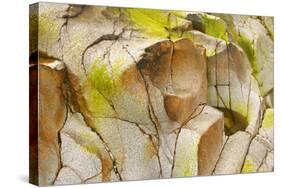 Etive Riverbed Dried Off Riverbed with Red Rocks-null-Stretched Canvas