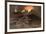 Etna Erupts 1885-Eugene Ciceri-Framed Premium Giclee Print