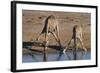 Etosha National Park, Namibia, Africa. Two Angolan Giraffe drinking.-Karen Ann Sullivan-Framed Photographic Print