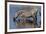 Etosha National Park, Namibia, Africa. Two Burchell's Zebra drinking.-Karen Ann Sullivan-Framed Photographic Print