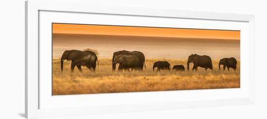 Etosha NP, Namibia, Africa. Elephants Walk in a Line at Sunset-Janet Muir-Framed Photographic Print