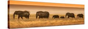 Etosha NP, Namibia, Africa. Elephants Walk in a Line at Sunset-Janet Muir-Stretched Canvas