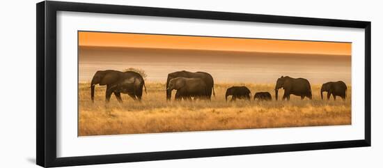 Etosha NP, Namibia, Africa. Elephants Walk in a Line at Sunset-Janet Muir-Framed Premium Photographic Print