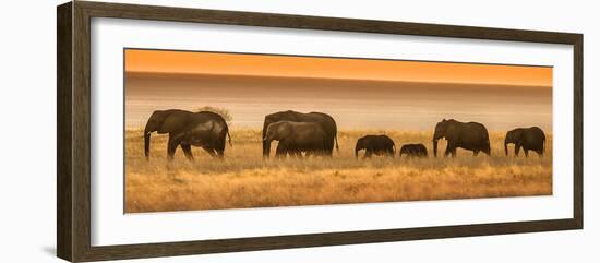 Etosha NP, Namibia, Africa. Elephants Walk in a Line at Sunset-Janet Muir-Framed Photographic Print