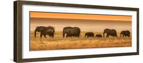 Etosha NP, Namibia, Africa. Elephants Walk in a Line at Sunset-Janet Muir-Framed Photographic Print