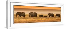 Etosha NP, Namibia, Africa. Elephants Walk in a Line at Sunset-Janet Muir-Framed Photographic Print