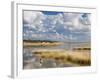 Etosha Pan after Rains, Etosha National Park, Namibia, Africa-Ann & Steve Toon-Framed Photographic Print