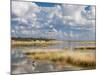 Etosha Pan after Rains, Etosha National Park, Namibia, Africa-Ann & Steve Toon-Mounted Photographic Print