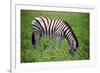 Etosha Park-watchtheworld-Framed Photographic Print