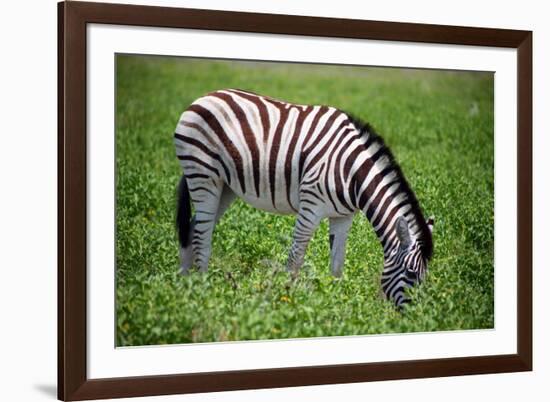 Etosha Park-watchtheworld-Framed Photographic Print