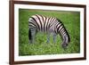 Etosha Park-watchtheworld-Framed Photographic Print