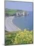 Etretat, Seine Maritime, Haute Normandie (Normandy), France, Europe-Roy Rainford-Mounted Photographic Print