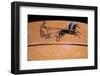 Etruscan Art: a Chariot Drawn by Two Horses (On a Vase)-null-Framed Photographic Print