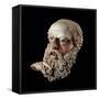 Etruscan Art : Head of a Bald Old Man-null-Framed Stretched Canvas