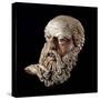Etruscan Art : Head of a Bald Old Man-null-Stretched Canvas