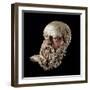 Etruscan Art : Head of a Bald Old Man-null-Framed Photographic Print