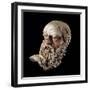 Etruscan Art : Head of a Bald Old Man-null-Framed Photographic Print