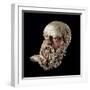 Etruscan Art : Head of a Bald Old Man-null-Framed Photographic Print