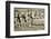 Etruscan Bas-Relief of a Sarcophagus Depicting Ulysses-null-Framed Photographic Print