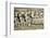 Etruscan Bas-Relief of a Sarcophagus Depicting Ulysses-null-Framed Photographic Print