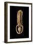 Etruscan Gold Earring with Pendant, from Chiusi, Siena Province, Italy B.C.-null-Framed Giclee Print