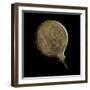 Etruscan Mirror with Mythological Figures-null-Framed Photographic Print