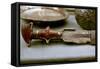 Etruscan or Roman Sword-A Lorenzini-Framed Stretched Canvas