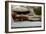 Etruscan or Roman Sword-A Lorenzini-Framed Photographic Print