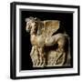 Etruscan Sculpture of Winged Horses of Tarquinia-null-Framed Photographic Print