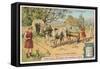 Etruscans Ploughing-European School-Framed Stretched Canvas