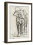 Etude d'éléphant-Gustave Moreau-Framed Giclee Print