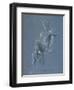 Etude d'homme assis-Gustave Moreau-Framed Giclee Print