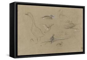 Etude d'oies et de canards-Pieter Boel-Framed Stretched Canvas