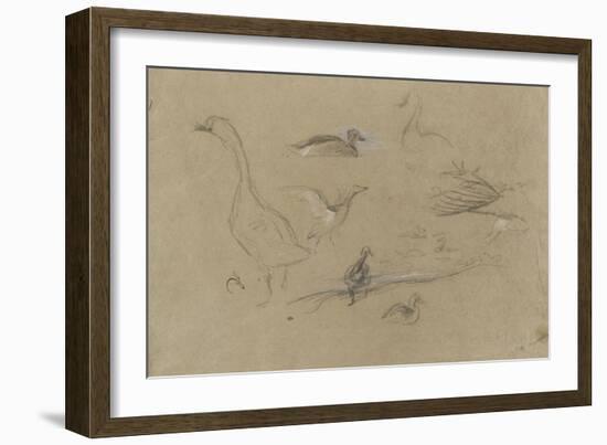 Etude d'oies et de canards-Pieter Boel-Framed Giclee Print