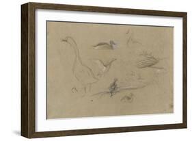 Etude d'oies et de canards-Pieter Boel-Framed Giclee Print