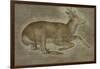 Etude d'un jeune cerf-Jacopo Bellini-Framed Giclee Print