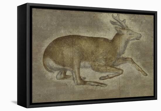 Etude d'un jeune cerf-Jacopo Bellini-Framed Stretched Canvas