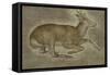 Etude d'un jeune cerf-Jacopo Bellini-Framed Stretched Canvas