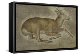 Etude d'un jeune cerf-Jacopo Bellini-Framed Stretched Canvas