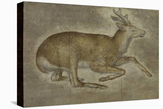 Etude d'un jeune cerf-Jacopo Bellini-Stretched Canvas