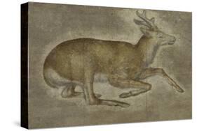 Etude d'un jeune cerf-Jacopo Bellini-Stretched Canvas