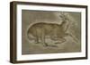 Etude d'un jeune cerf-Jacopo Bellini-Framed Giclee Print