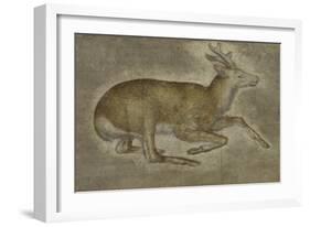 Etude d'un jeune cerf-Jacopo Bellini-Framed Giclee Print