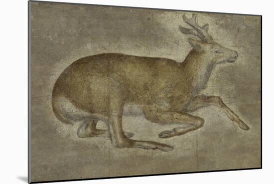 Etude d'un jeune cerf-Jacopo Bellini-Mounted Giclee Print