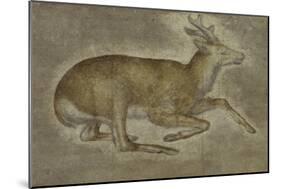 Etude d'un jeune cerf-Jacopo Bellini-Mounted Giclee Print